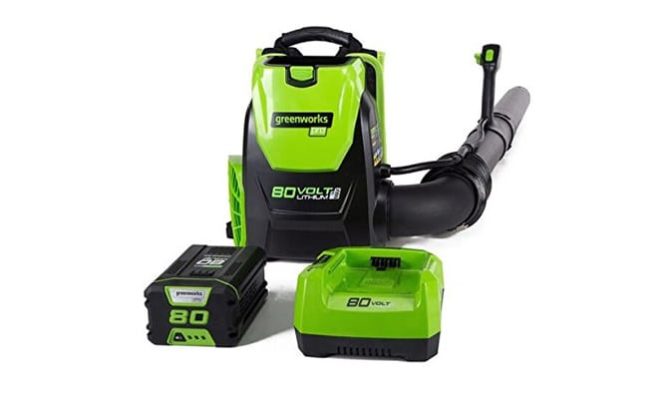Best Backpack Leaf Blower Review img
