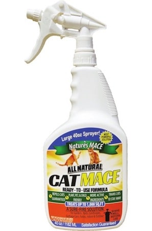 Natural Cat Repellent Spray Keep cats ogg