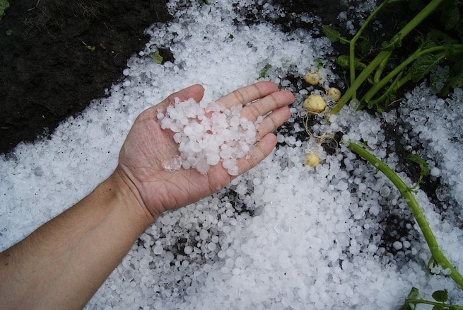 How hail drops actually look like