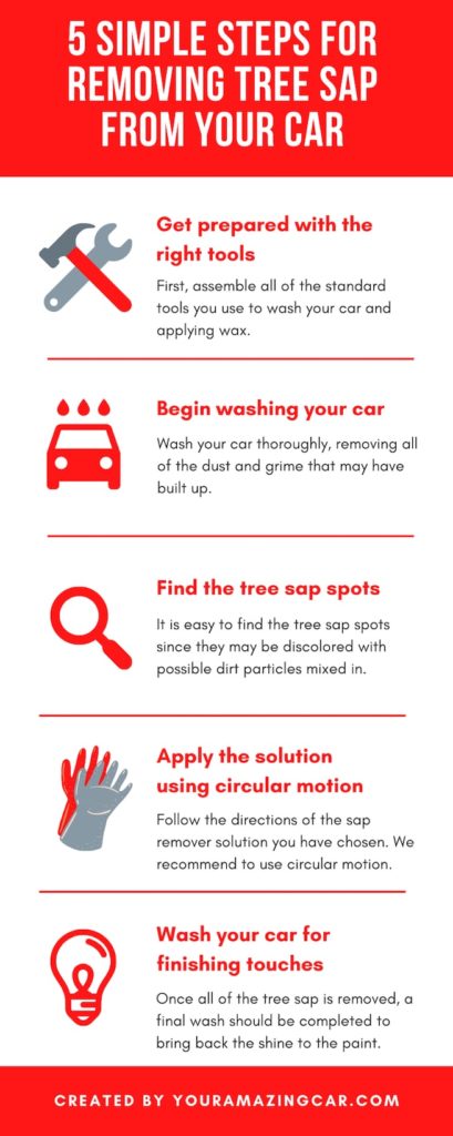 Wash and clean the auto and remove tree sap with this five simple steps