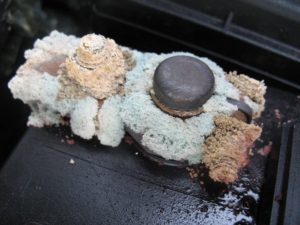 Nasty corroed battery terminals can cause a battery light on