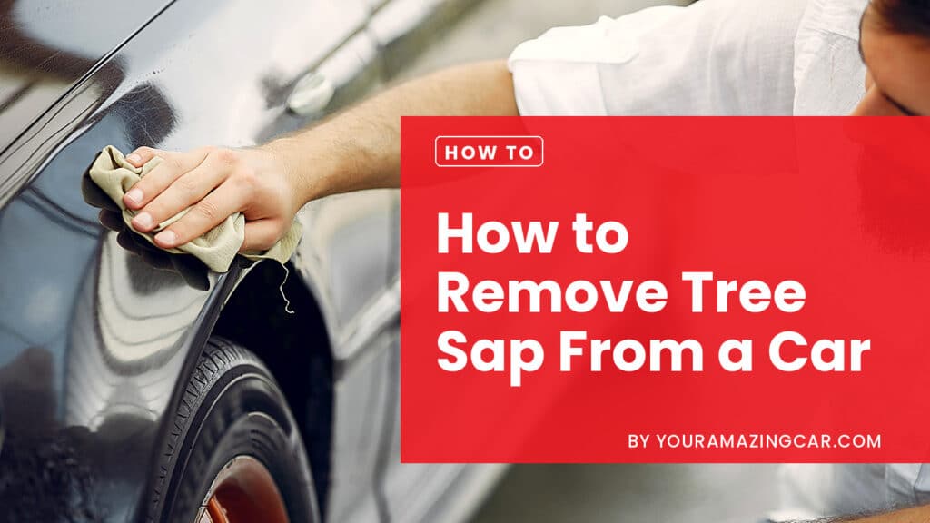 How to remove tree sap from a car