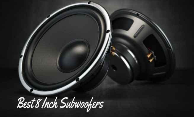 Best 8 Inch Subwoofers (Top 10 Reviews & Buying Guide) 2023