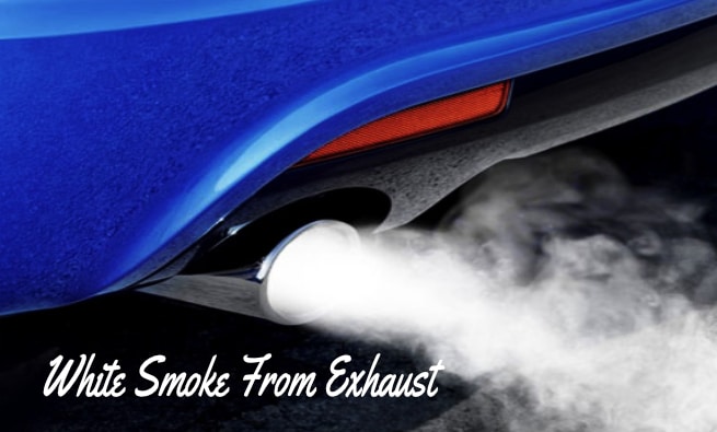 white smoke exhaust in bioost evom