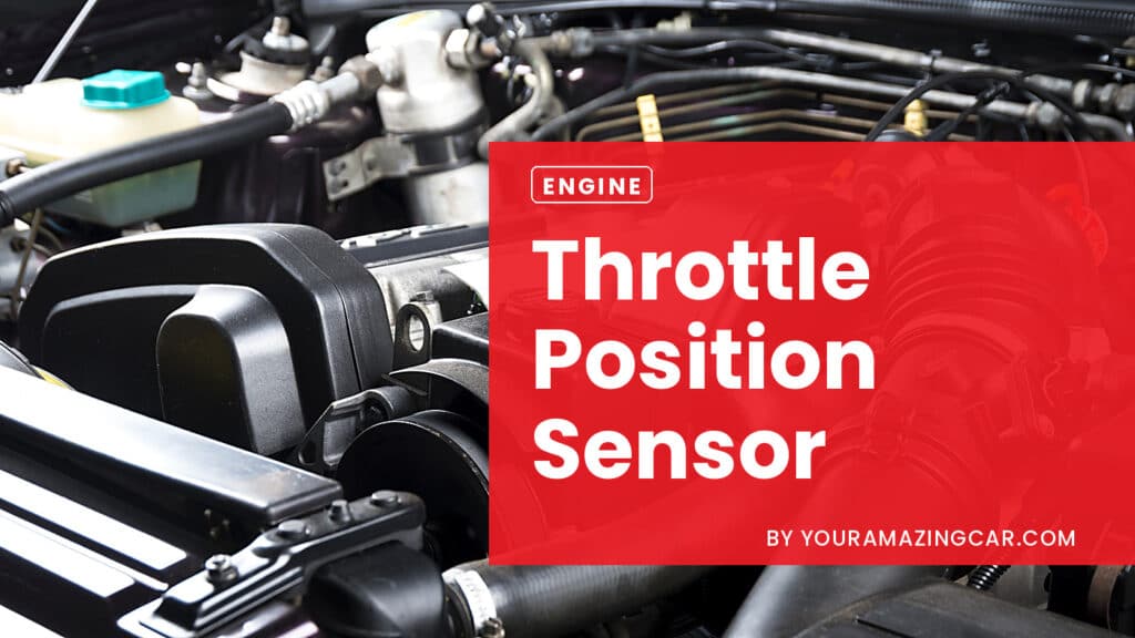 Throttle Position Sensor Throttle Position Sensor