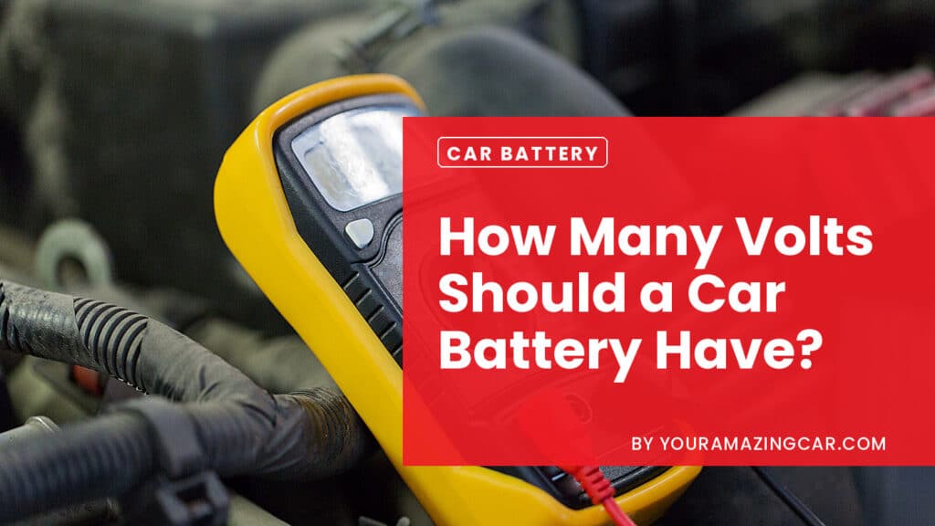 How many volts should a car battery have How many volts should a car battery have