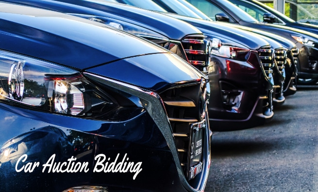 car auction bidding strategy